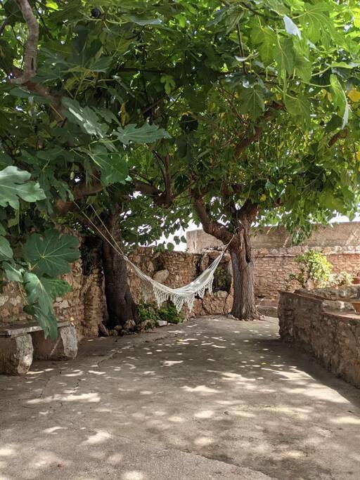 Casa rural para 10 personas, con Balcón y Terraza además de Jardín y Piscina en Alcanar