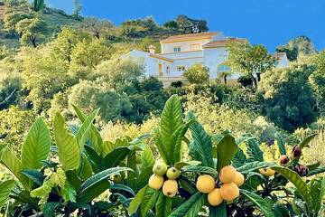 Location de vacances pour 6 personnes, avec jardin dans Santa Catarina da Fonte do Bispo