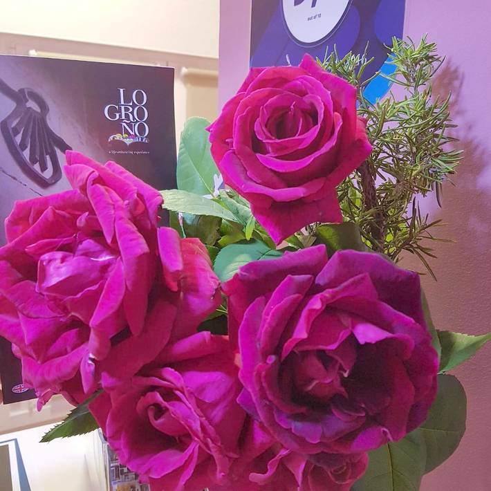 Maison d’hôte pour 2 personnes à Logroño - 3