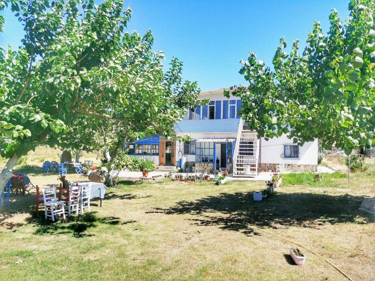 Liman cafe pansiyon in Imbros, North Aegean Islands