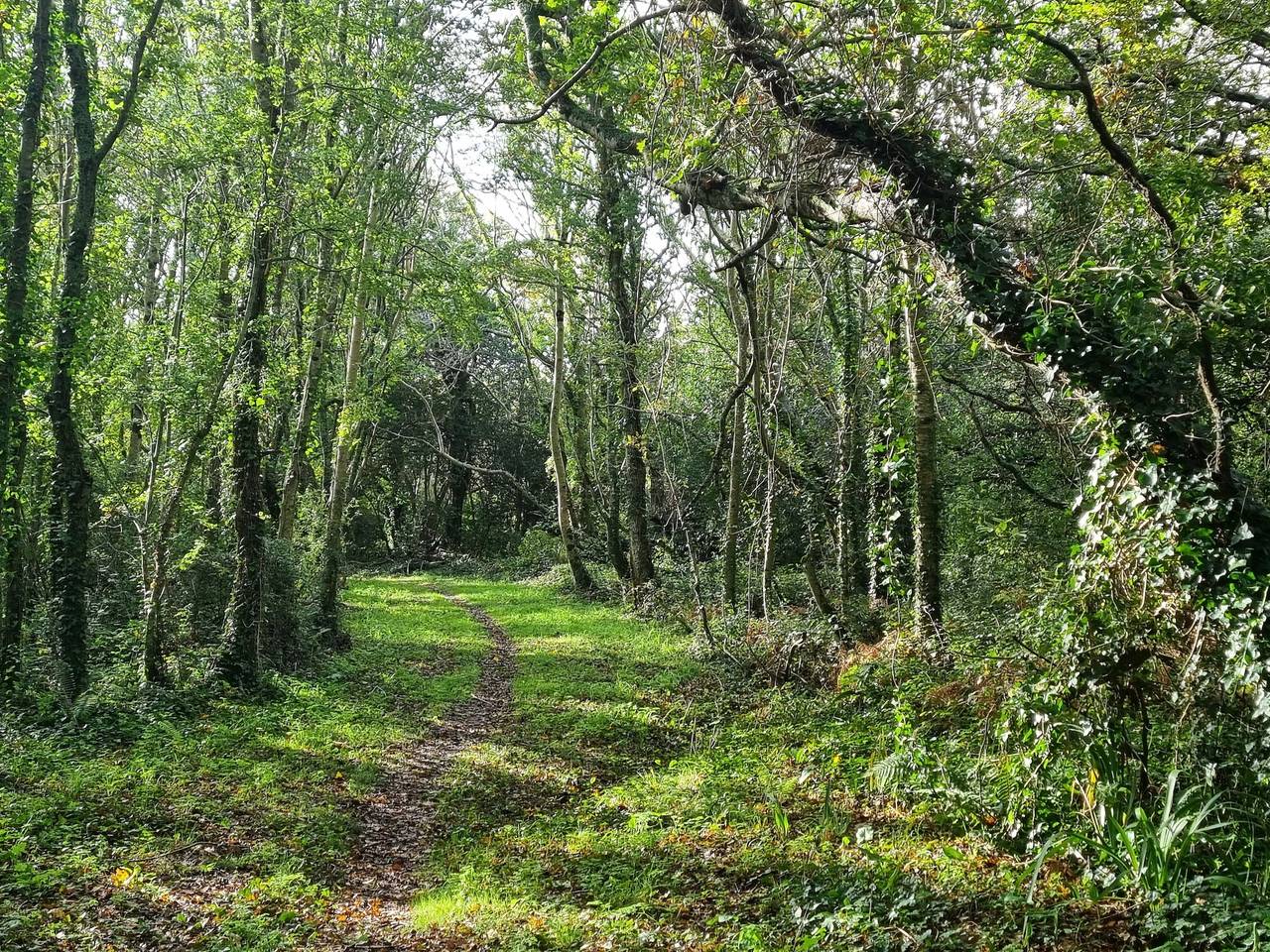 Le Fret, entre nature et la Mer in Crozon, Région de Châteaulin