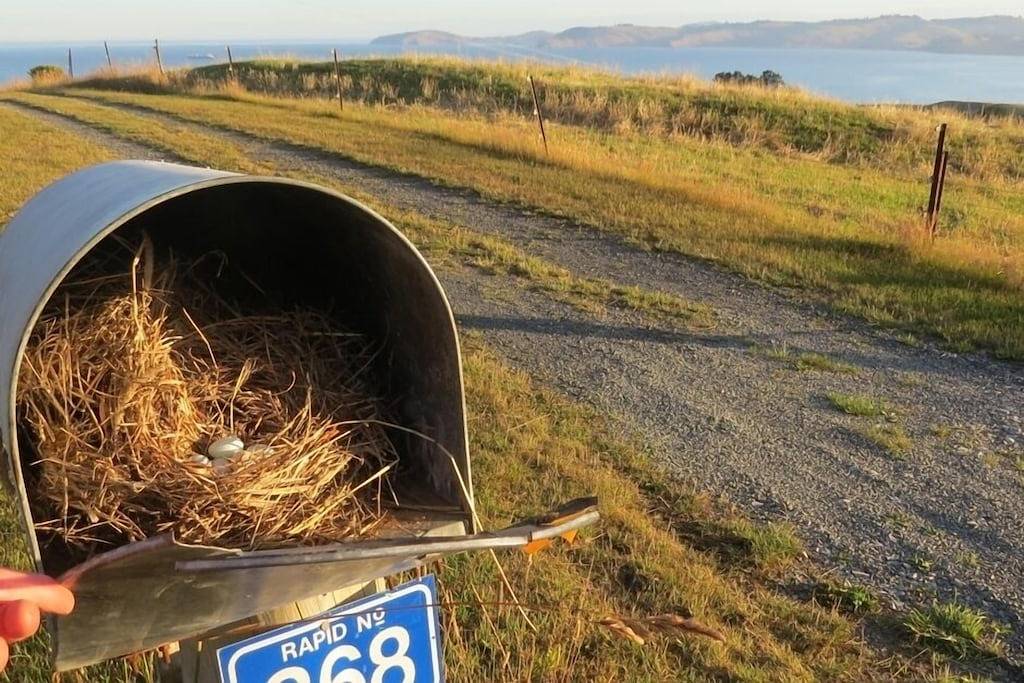 Atemberaubende Küstenansichten in einer filmähnlichen Umgebung in Otago