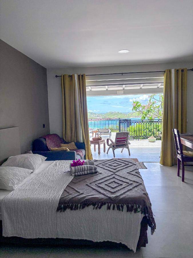 Maison d’hôte pour 3 personnes, avec piscine ainsi que vue et terrasse, animaux acceptés dans Saint Martin - 4