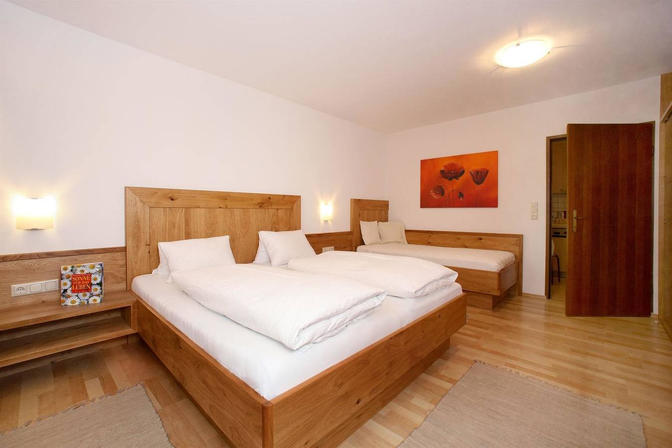 Ganze Ferienwohnung, Appt. A oder B/1 Schlafraum/Bad, Wc in Zell am See, Pinzgau