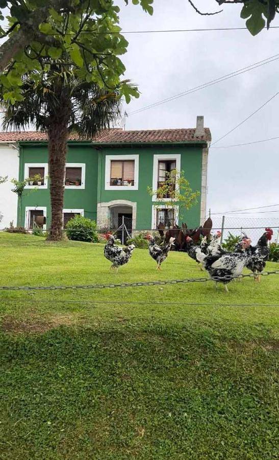 Casa rural para 6 personas, con Jardín en Ribadedeva