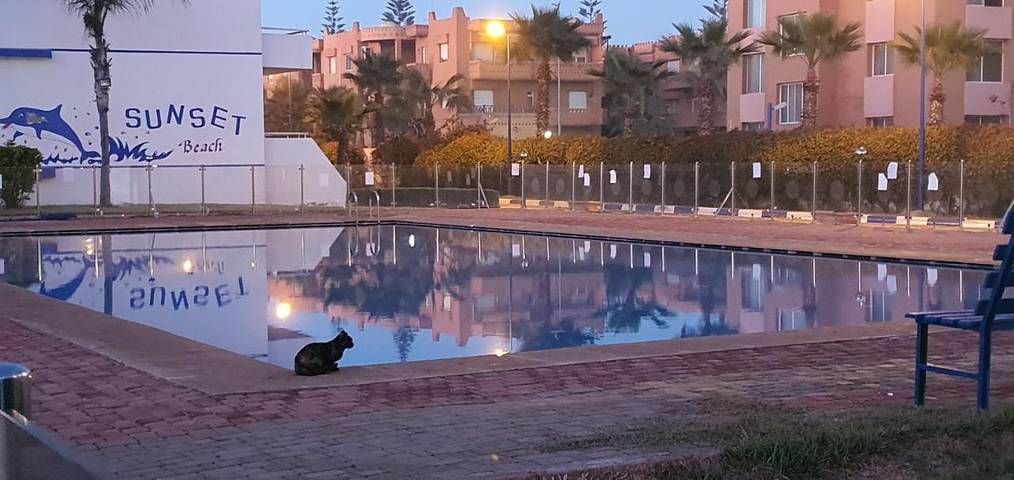 Appartement de vacances pour 4 personnes, avec jardin et terrasse ainsi que piscine et bassin pour enfant - 1