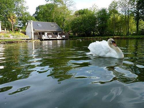 Gîte pour 4 personnes, avec terrasse et vue sur le lac, animaux acceptés à Tréméoc
