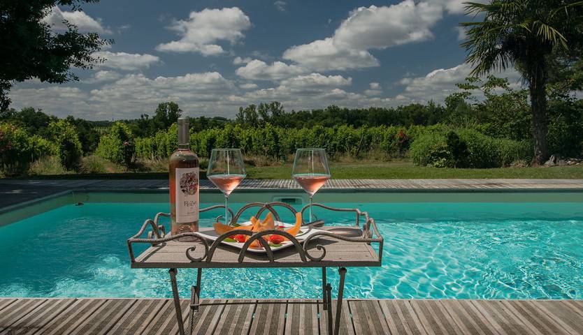 Gîte pour 10 personnes, avec jardin ainsi que piscine et terrasse à Buzet-sur-Baïse - 4