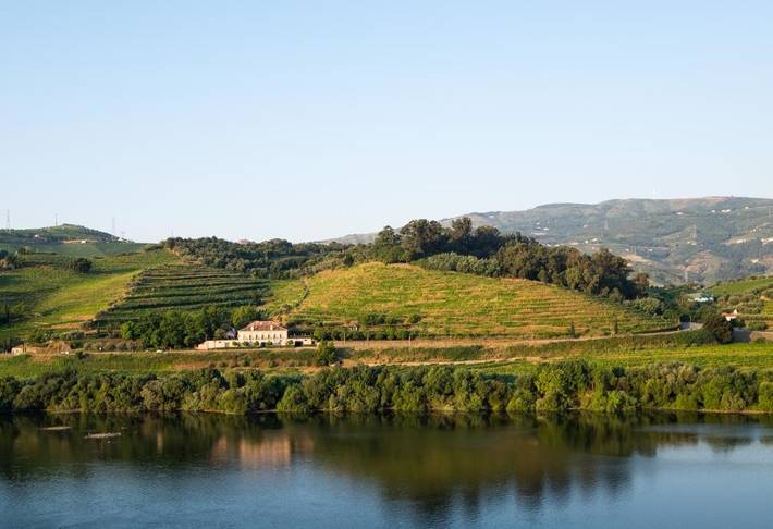 Maison d’hôte pour 3 personnes, avec jardin à Lamego - 2