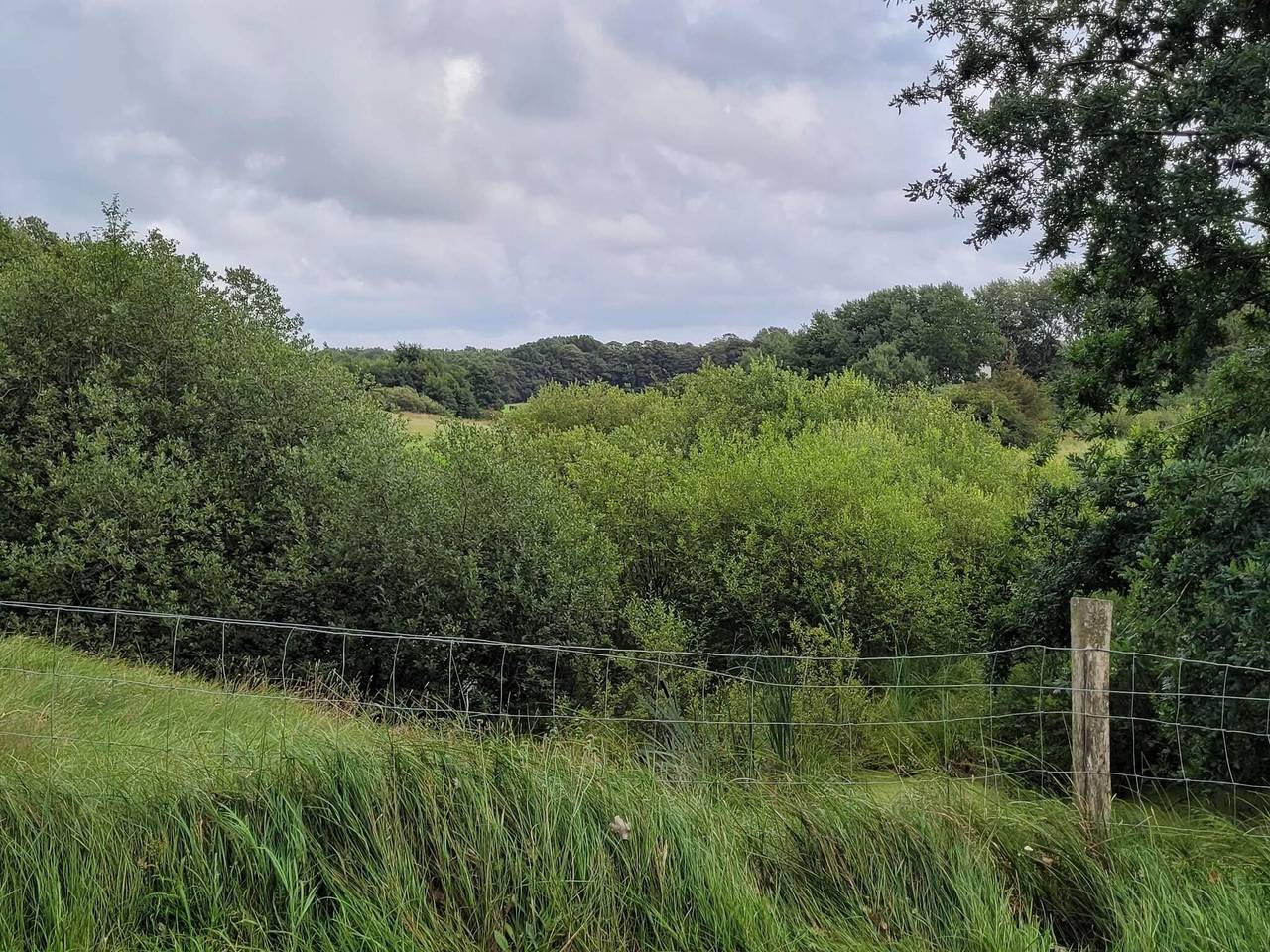 5 Personen Ferienhaus in Hovborg in Hovborg, Vejen