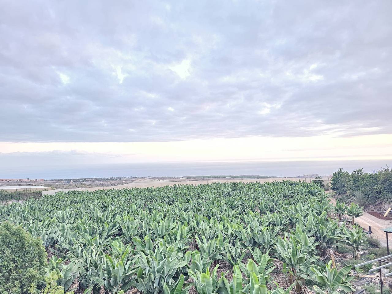 Apartamento entero, Apartamento vacacional 'Beautiful Sea View and Pool Finca 6' con vistas al mar, piscina y Wi-Fi in Adeje, Tenerife Sur