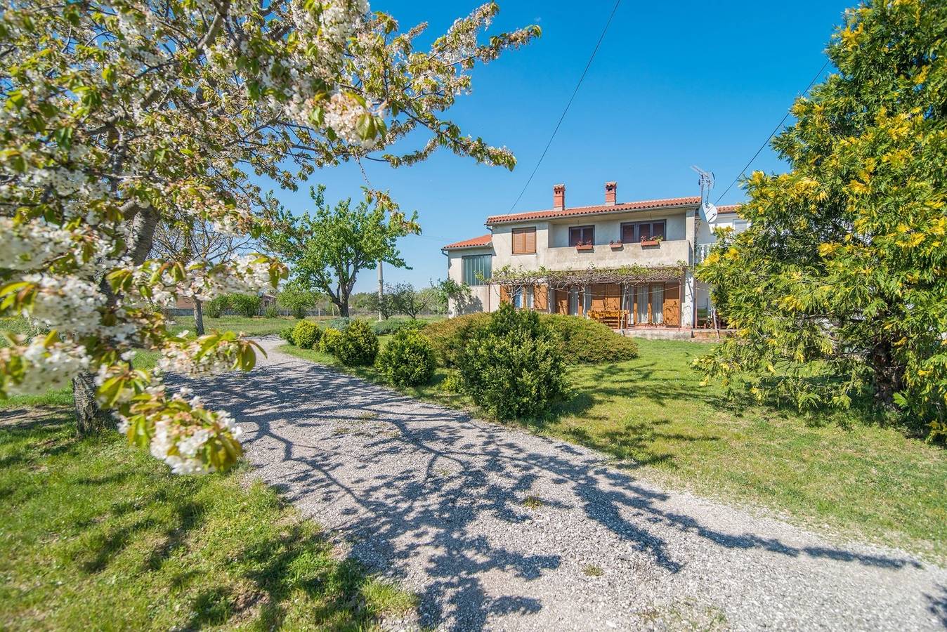 Ganze Wohnung, Apartment mit Terrasse in Filipana in Filipana, Südküste Istrien