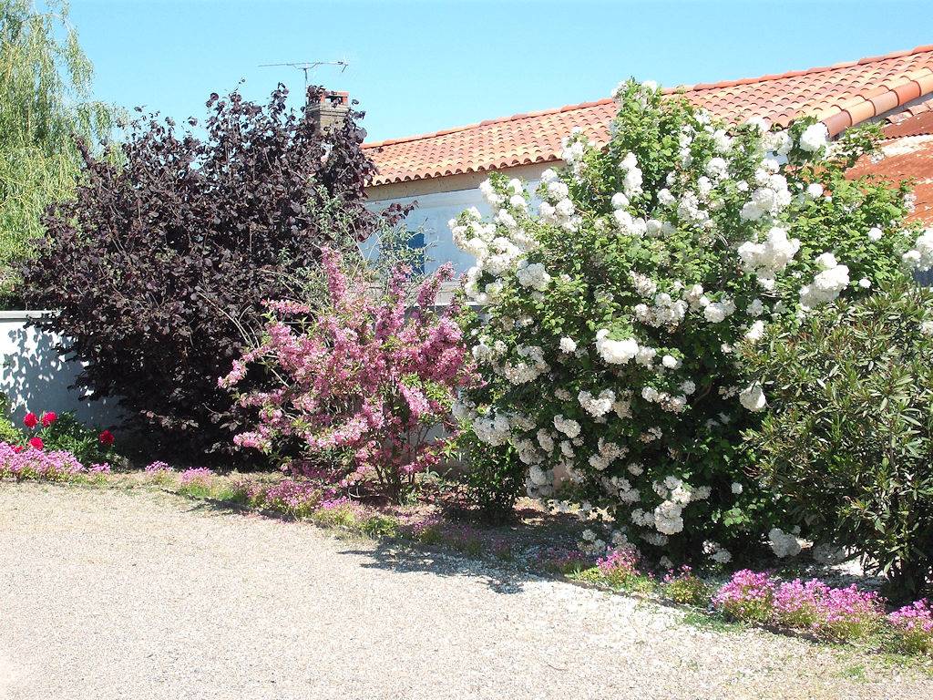 Chambres d'hôtes Les Pironnaises - Chambre Pironnaise 2 in Château-d'Olonne, Les Sables-d'Olonne