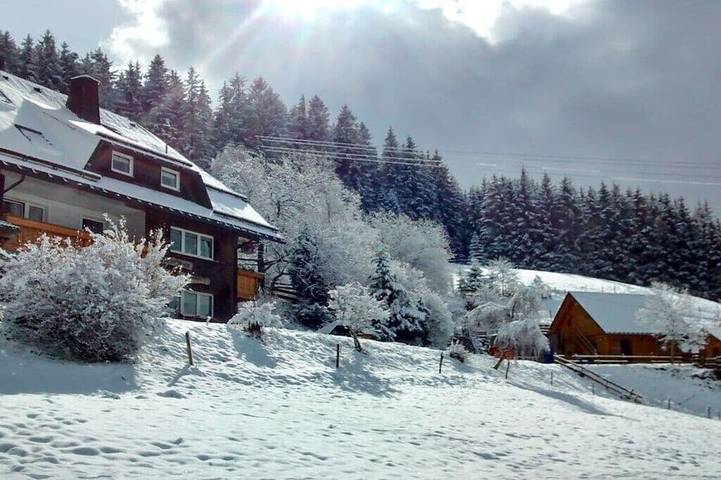 Ferienhaus für 4 Personen, mit Pool und Balkon in Titisee-Neustadt