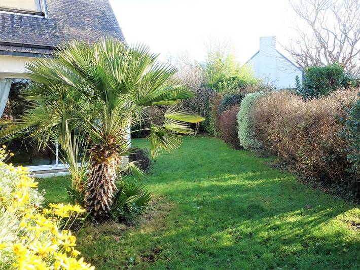 Ferienhaus für 6 Personen, mit Garten in Perros-Guirec - 2