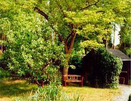 Ferienhaus für 2 Personen, mit Terrasse in Mecklenburgische Seenplatte - 2