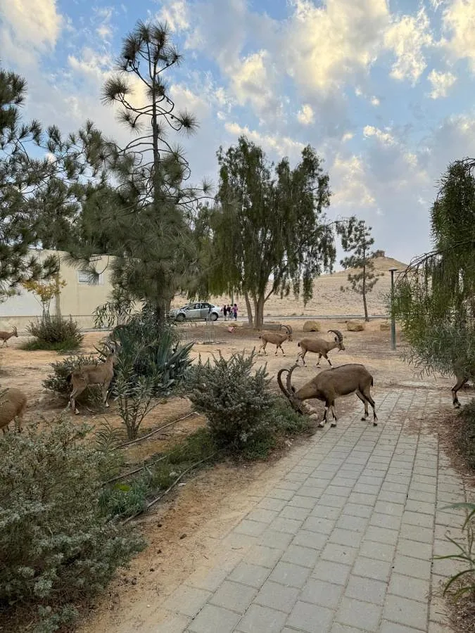 Appartement de vacances pour 10 personnes, avec vue et jardin, animaux acceptés - 1