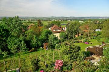 Ferienhaus für 8 Personen in Loschwitz, Dresden, Bild 1