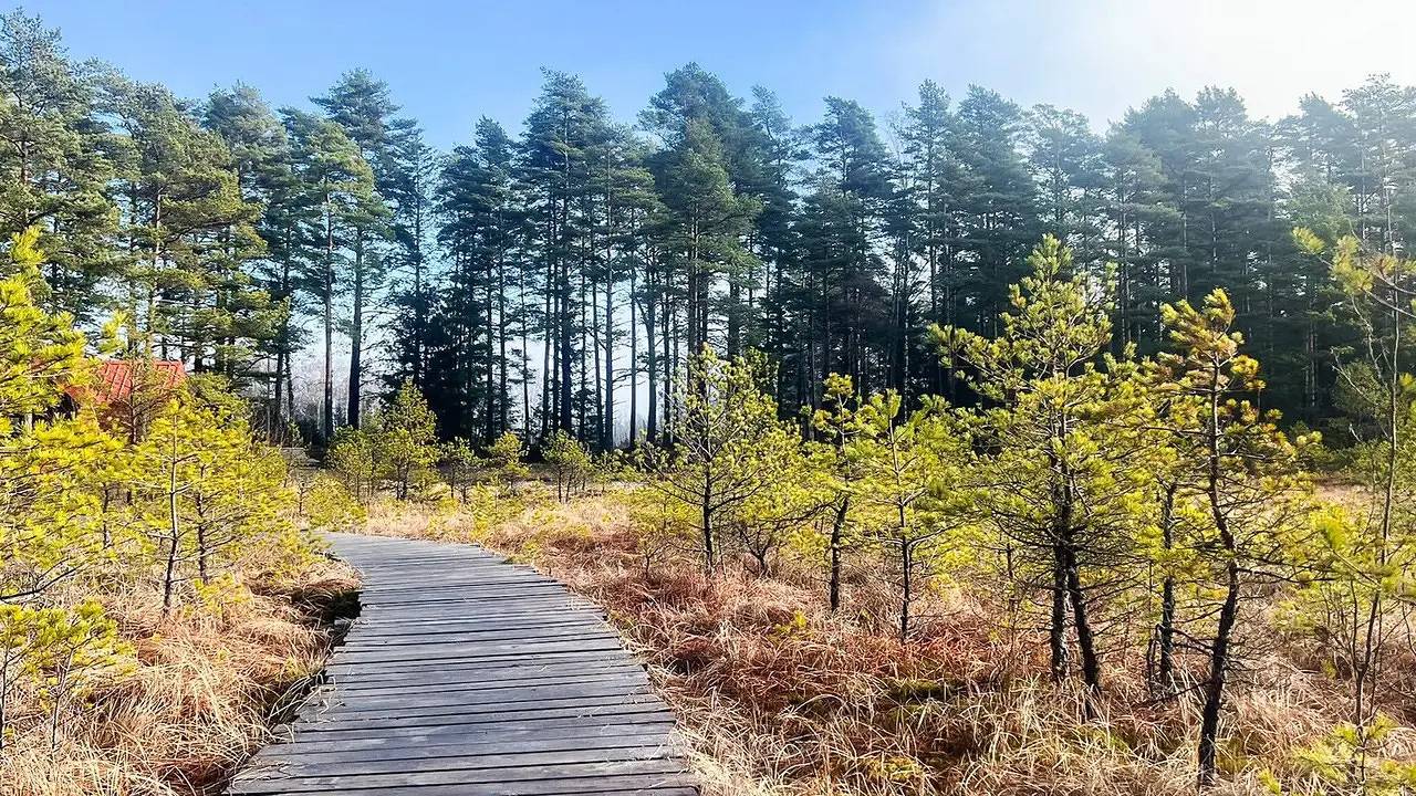 Ferienhaus für 7 Personen (90 m²) in Forsheda in Jönköpings län