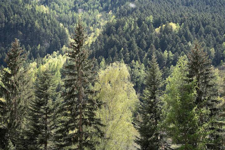 Appartement entier, Appartement 'Alta Valle Maira C' avec vue sur les montagnes, jardin partagé et Wi-Fi in Acceglio, Province de Coni