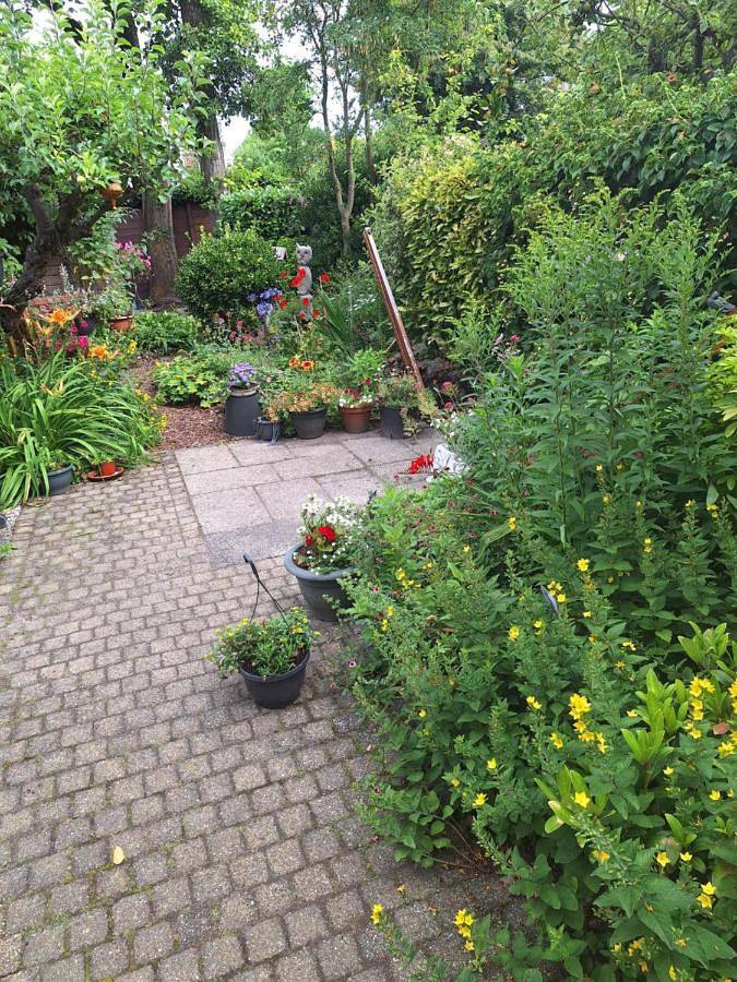 Gîte pour 2 personnes, avec jardin à Rotterdam - 3