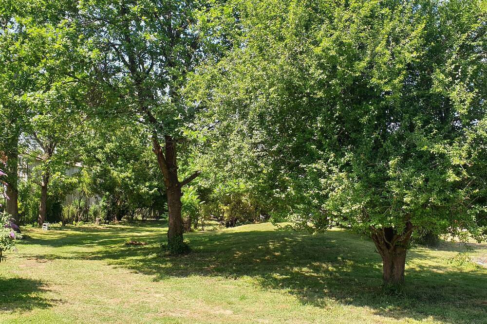 Rest and relaxation nestled in a green setting in Salies-du-Salat, Alto Garona