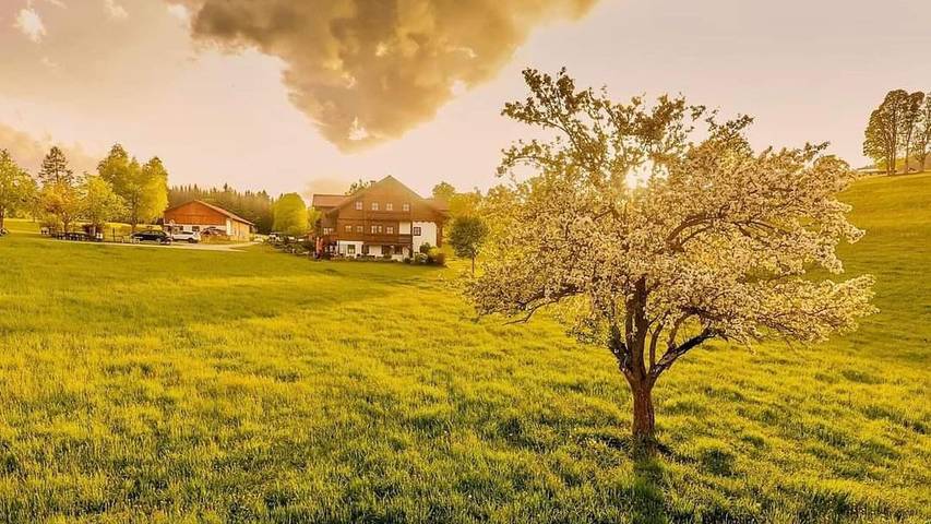 Bauernhof für 3 Personen, mit Garten und Balkon, mit Haustier in Ramsau am Dachstein