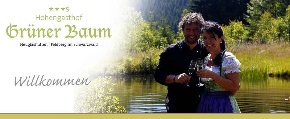 Hotel für 3 Personen, mit Balkon/Terrasse und Terrasse sowie Garten und Sauna in Feldberg