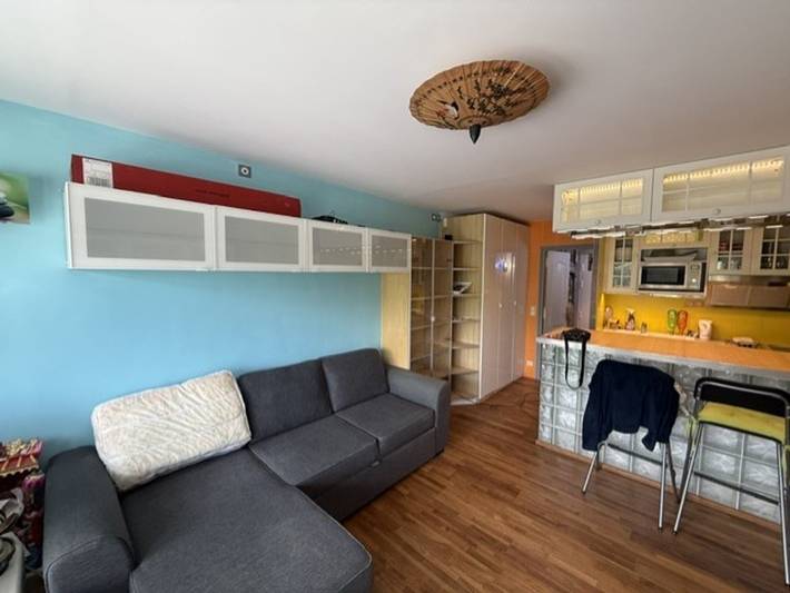 Entire studio, Renovated studio, panoramic view - 4 guests in Pra-Loup, Uvernet-Fours
