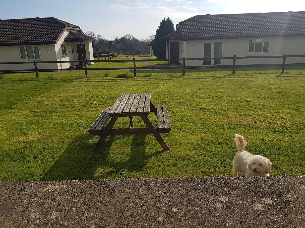 Holiday home for 4 people with view in Branscombe, Jurassic Coast