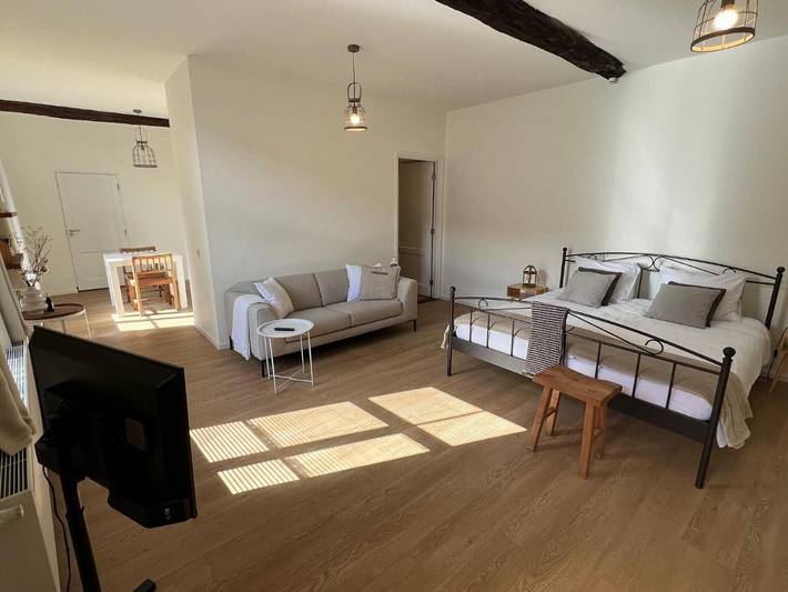 Chambre d’hôte pour 2 personnes, avec terrasse à Maastricht - 4