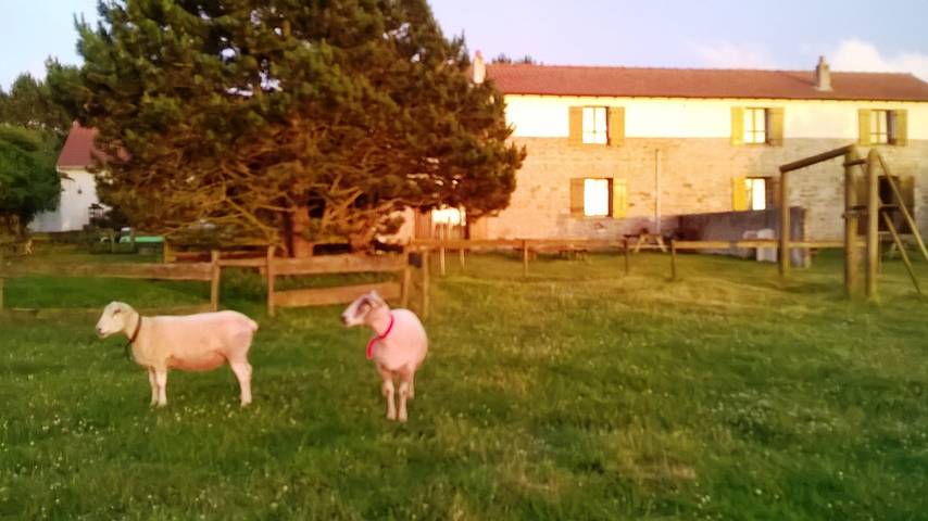 Gîte pour 36 personnes, avec jardin à Wimereux - 4
