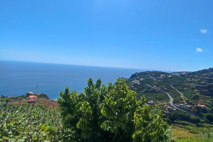 Maison d’hôte pour 2 personnes, avec Terrasse à Ponta do Sol