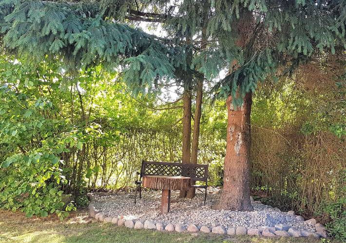 Ferienhaus für 3 Personen, mit Garten und Terrasse in Dargun - 3