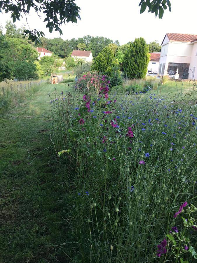 Location de vacances pour 5 personnes, avec Terrasse et Jardin à Saint-Martial-de-Valette - 4