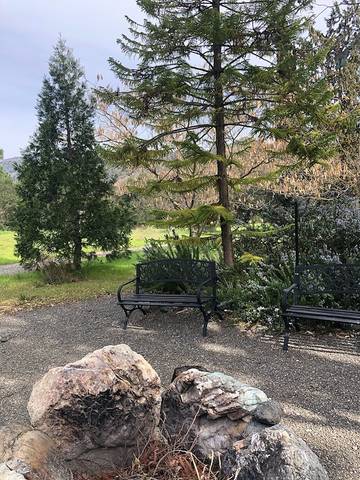 Vacation House for 8 Guests in Russian River, Sonoma County, Picture 3