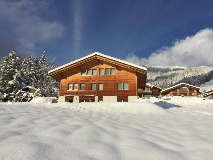 Ferienwohnung für 6 Personen, mit Garten in Hasliberg