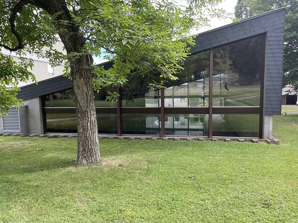 Ganze Ferienwohnung, Ferienapartment Königsegg - Fam. Möller Böhler - 1,5- Zimmer Ferienapartment, 2. Og, 50m² in Reichenau, Untersee