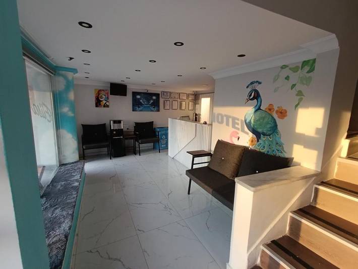 Hôtel pour 3 personnes, avec vue, animaux acceptés à Turquie