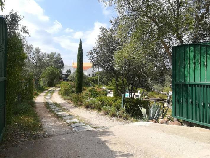 Maison de campagne pour 4 personnes, avec jardin ainsi que vue et piscine, animaux acceptés dans Salir - 3