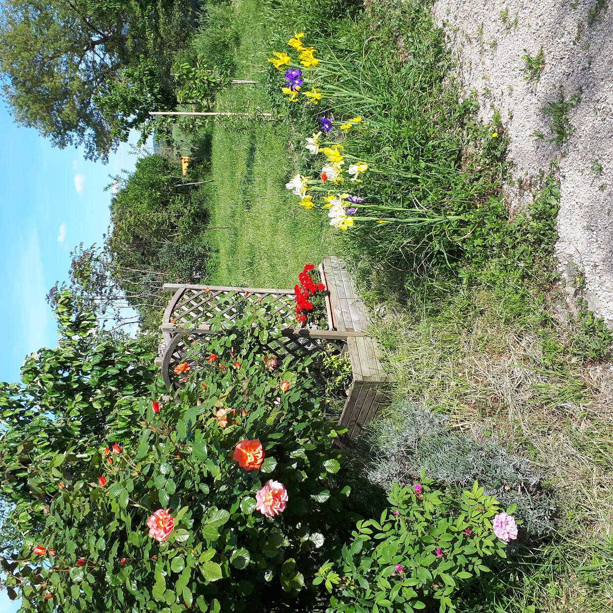 Vignes in Saint-Léon, Lauragais