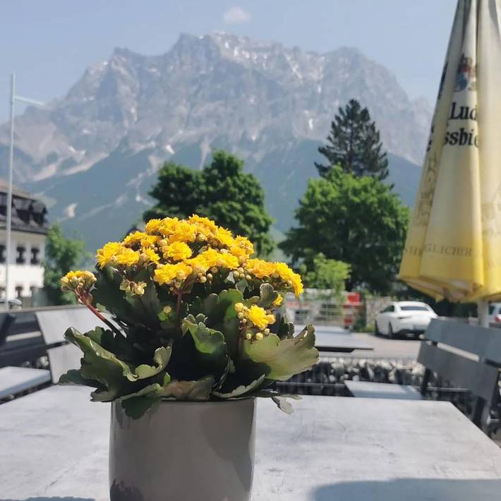 BnB für 2 Personen, mit Terrasse, mit Haustier in Lermoos - 4