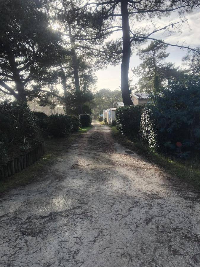 Camping pour 4 personnes, avec jardin et piscine à Vendays-Montalivet - 3