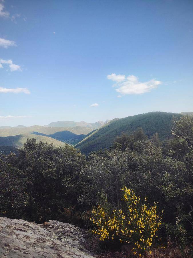Sur la Draille in Le Vigan, Parc national des Cévennes