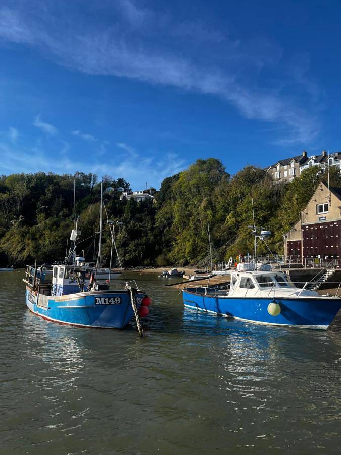 Efail Fach in New Quay, Cardigan Bay