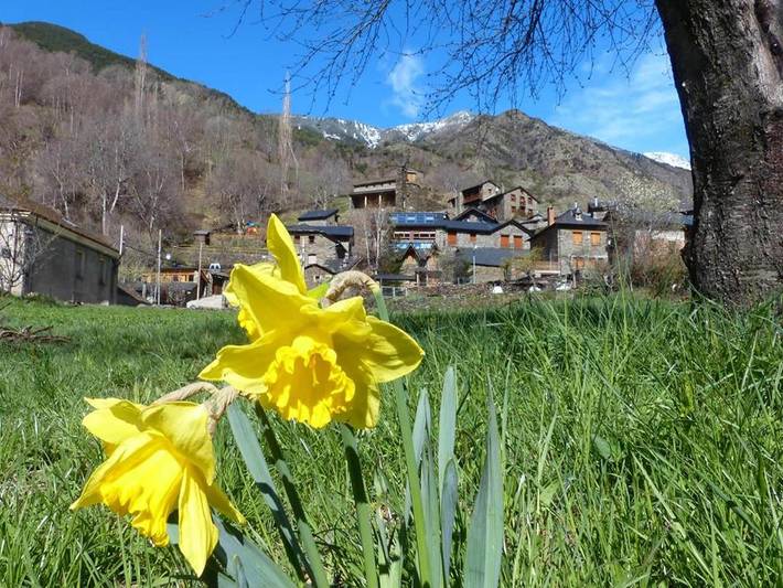 Casa La Pica con salida a jardín in Àreu, Alíns