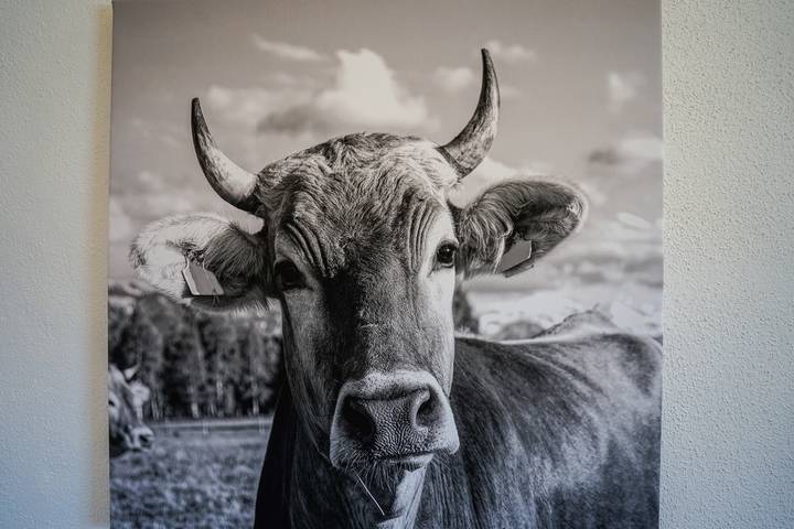 Bauernhof für 4 Personen, mit Garten und Balkon im Ostallgäu - 3