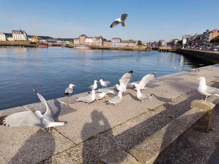 Location de vacances pour 5 personnes, avec vue et jardin à Criel-sur-Mer - 3