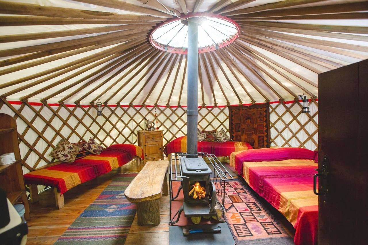 Lavvu in Carmarthenshire