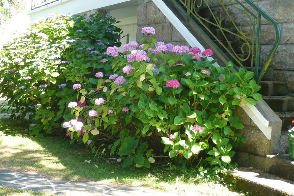 Les Hortensias, 3 bedrooms. Large garden, enclosed parking. Near Carnac, Lorient... in Belz, Côte des Mégalithes